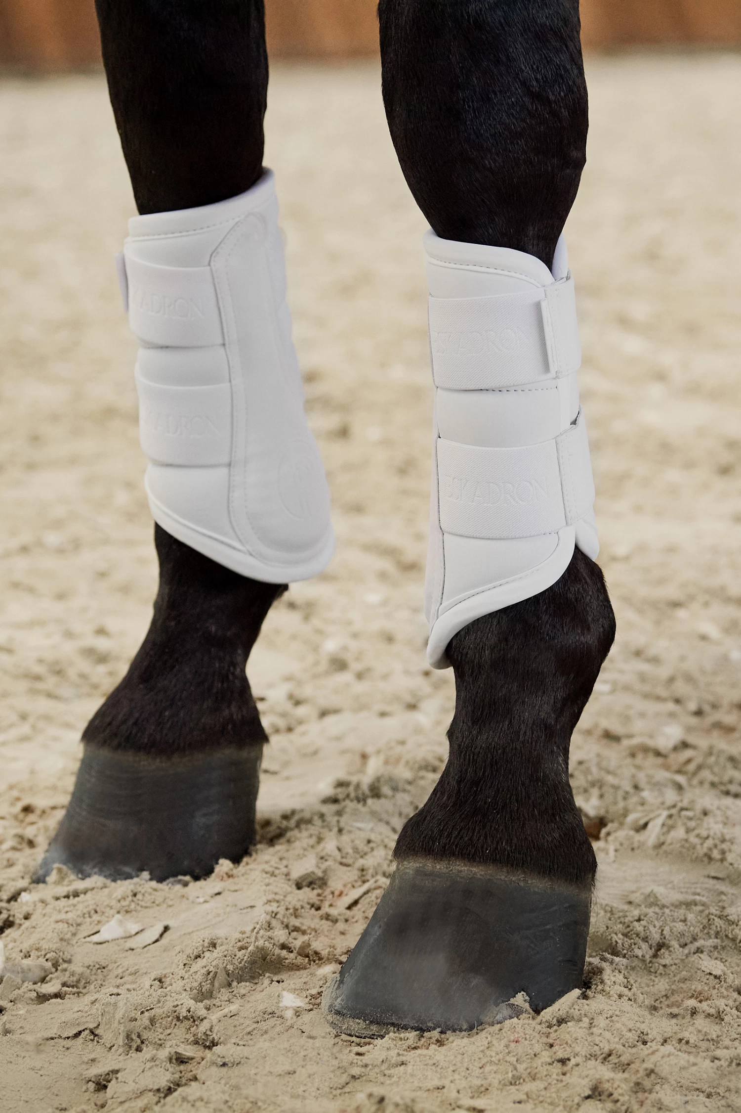 Eskadron Platinum Pure FS23 Softshell Gamaschen 4 Eskadron Platinum Pure FS23 Softshell Gamaschen – Bild 4