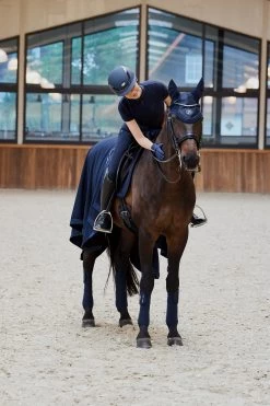 Eskadron Platinum Pure FS23 Glitter Mesh Fliegenhaube -Reitsportbedarf 345512 DB 04