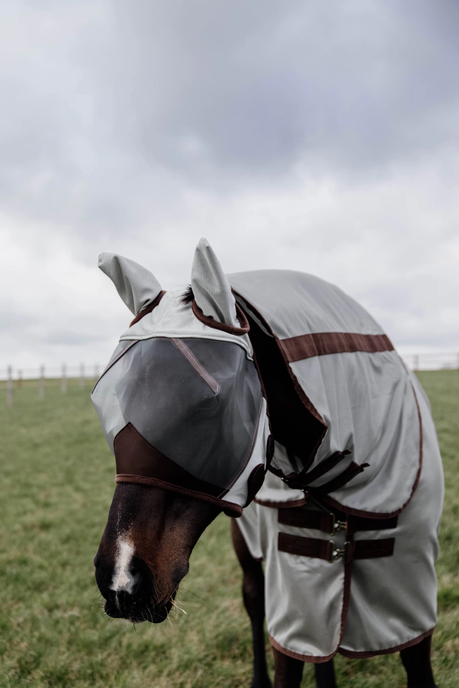 Kentucky Horsewear Classic Fliegenmaske Mit Ohren 12 Kentucky Horsewear Classic Fliegenmaske Mit Ohren – Bild 12