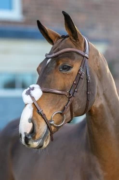 LeMieux Arika Mexikanische Trense -Reitsportbedarf 9TCGH 780 04