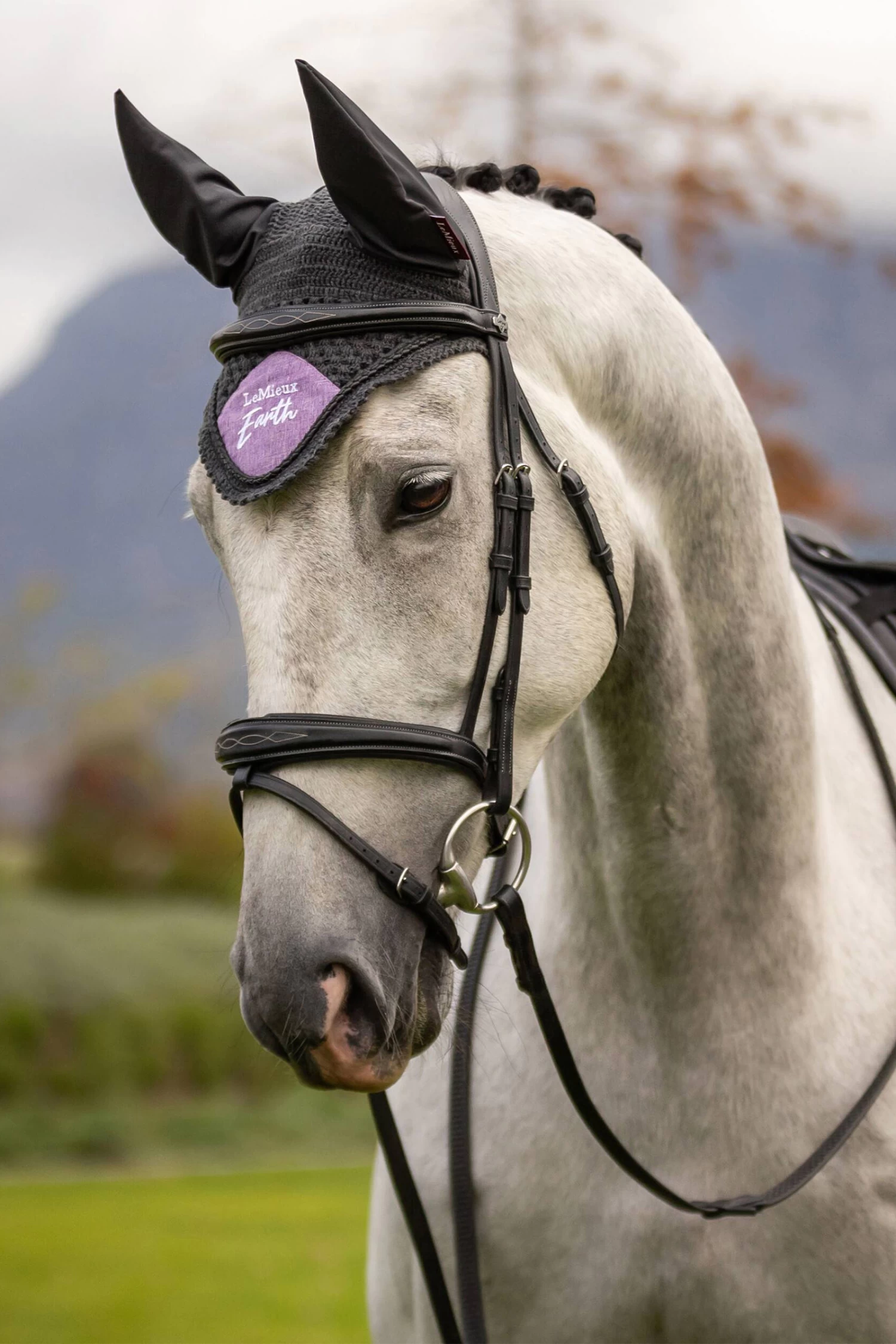 LeMieux Earth Fliegenhaube 2 LeMieux Earth Fliegenhaube – Bild 2