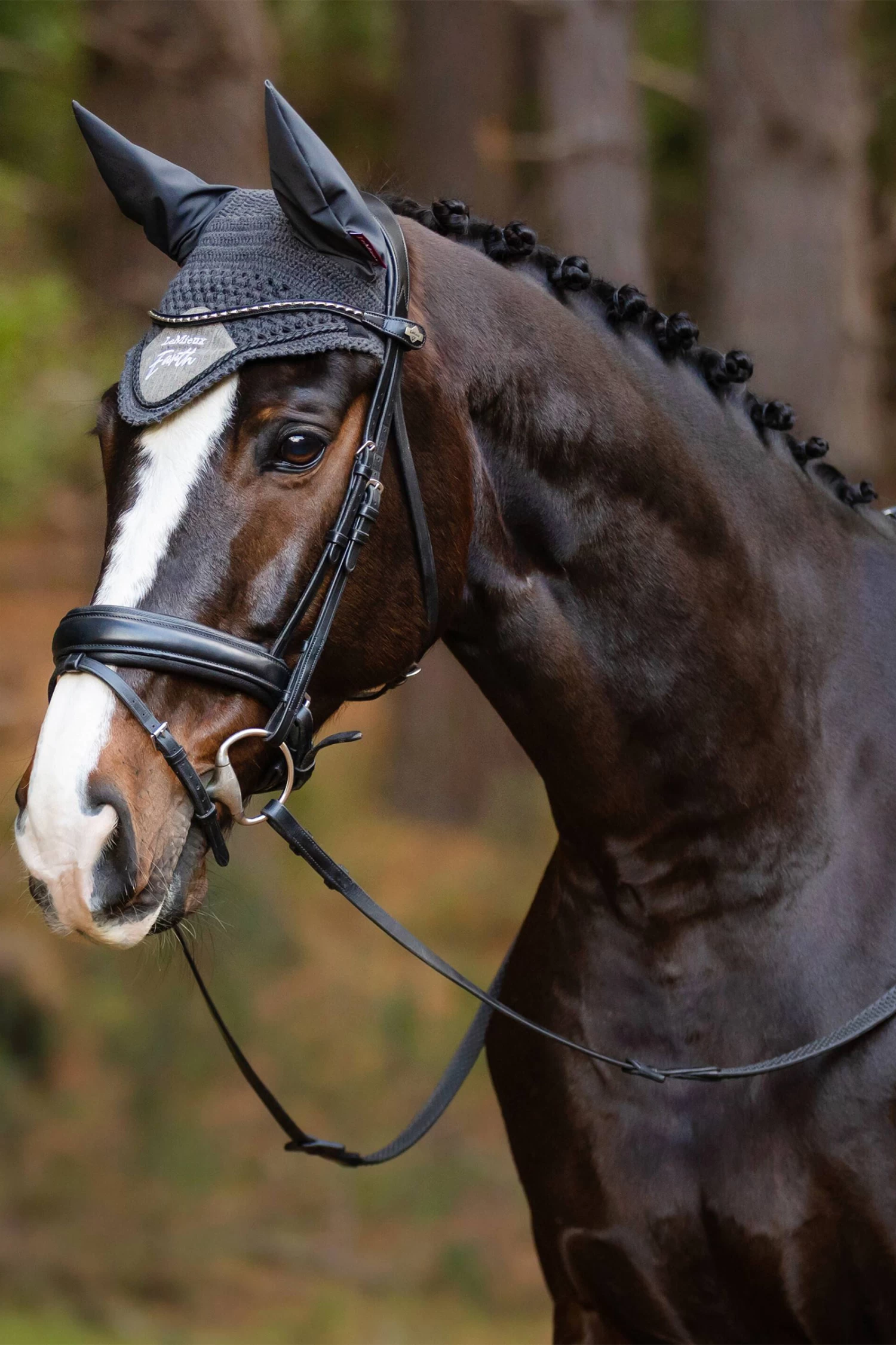 LeMieux Earth Fliegenhaube 6 LeMieux Earth Fliegenhaube – Bild 6