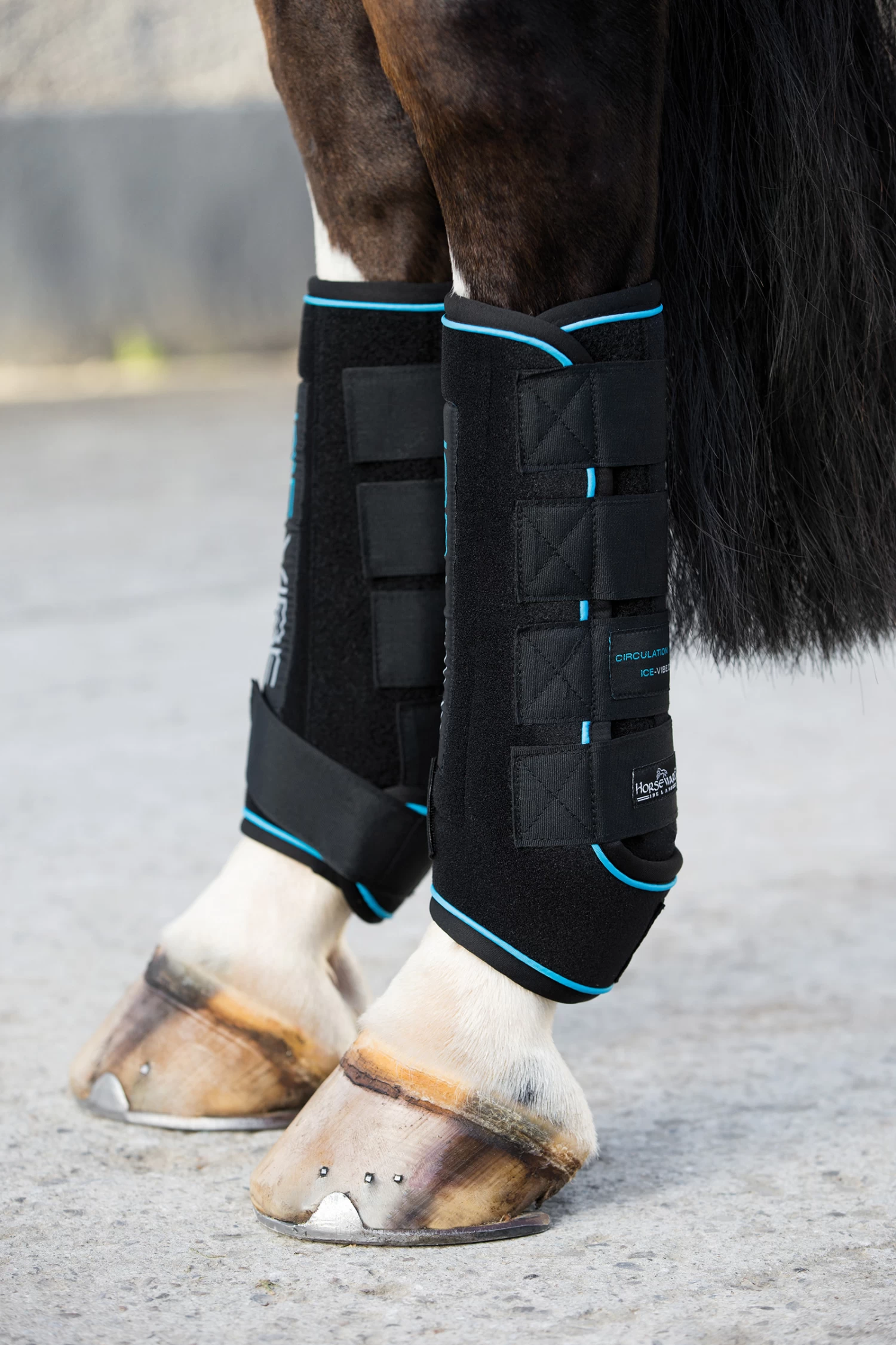 Horseware Ice-Vibe Gamaschen 5 Horseware Ice-Vibe Gamaschen – Bild 5